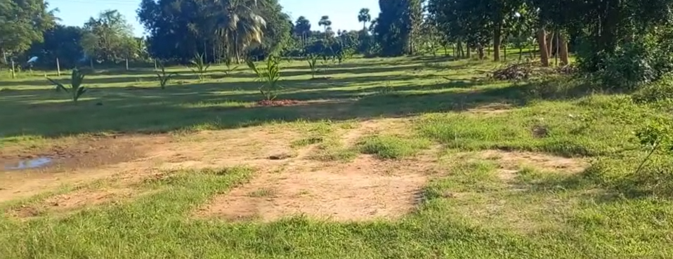 Land for Resale
